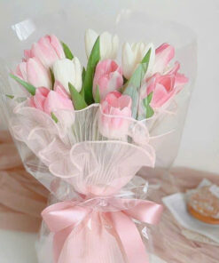 Hoa tulip hồng