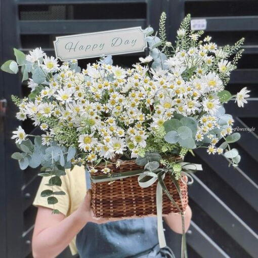 giỏ hoa cúc họa mi