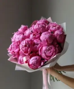 bó hoa mẫu đơn hồng