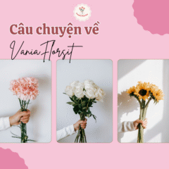 Câu chuyện VaniaFlorit