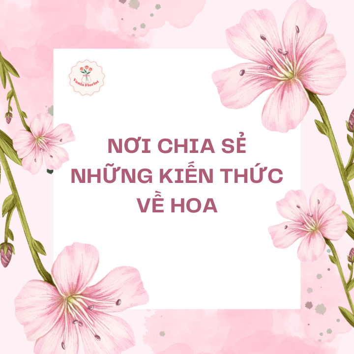 Nơi chia sẻ những kiến thức về hoa
