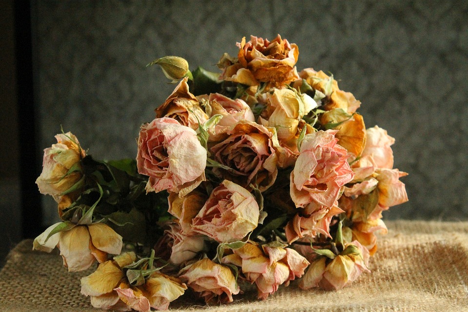 Bảo quản hoa cưới