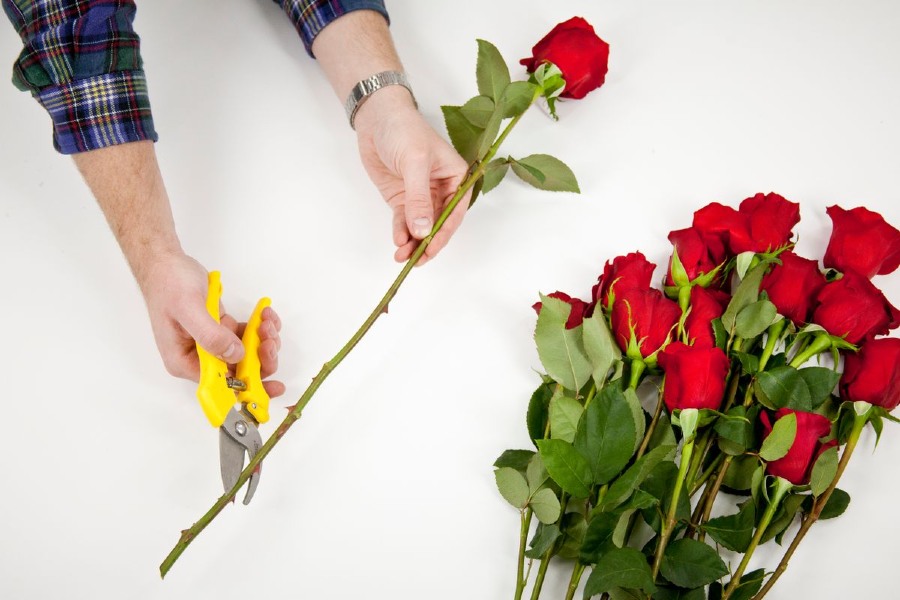 Cắt phần gốc hoa theo góc 45 độ để tăng khả năng hút nước của cành